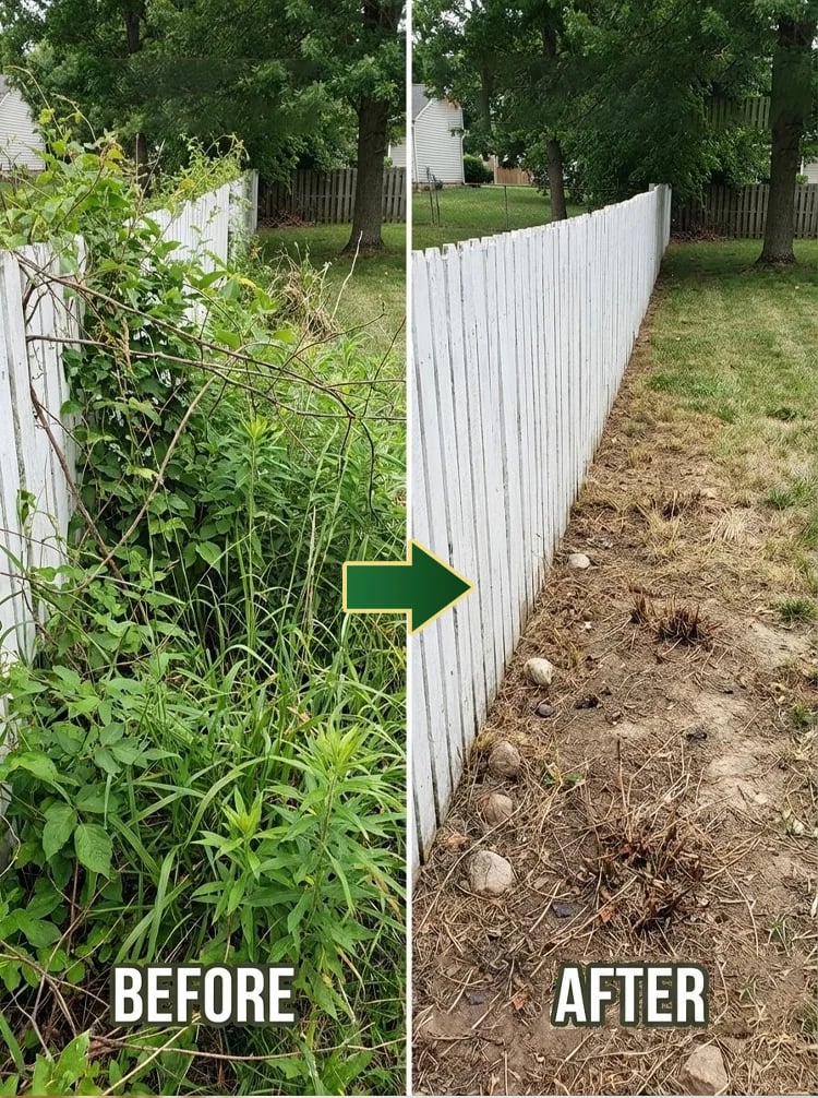 RootRevive – Garden Root Protection Treatment
