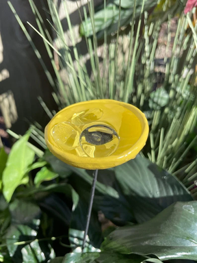 BeeHaven – Pollinator-Friendly Insect & Butterfly Drinking Cups