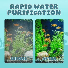 HydroClean – Crystal Clear Water Tank Filter