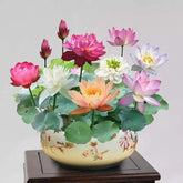 LotusBloom – The Sacred Bonsai Bowl Lotus Flower
