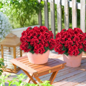 RoseAura – Eternal Geranium Floral Set