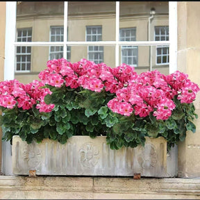 EverBloom – Artificial Geranium Outdoor Flowers