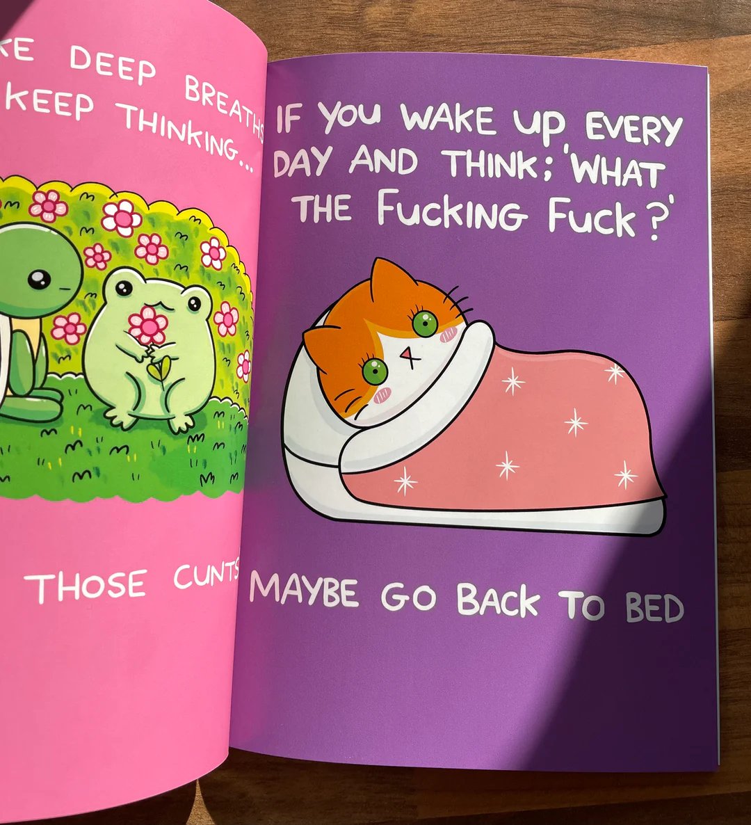 MindArmor – How To Survive The Bullshit (Hardcover Book)