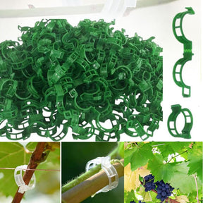 VineHold – Plant Support Clips