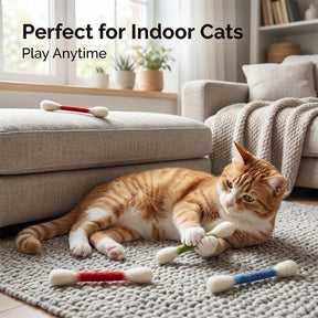 WhiskerFun – Multi Cat Swab Toy Set