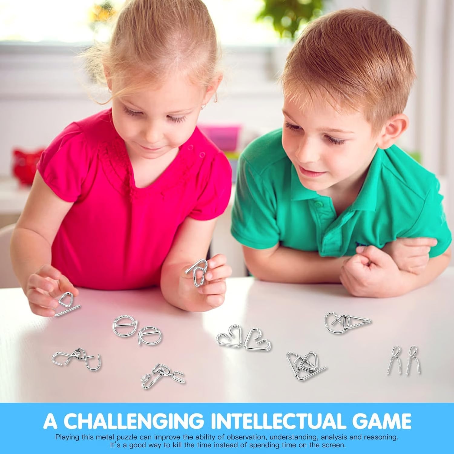 PuzzleCore – IQ Challenge Metal Puzzle Set