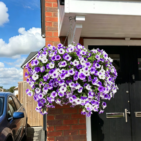 BloomScape – Outdoor Floral Decoration