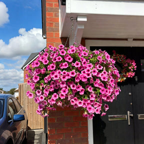 BloomScape – Outdoor Floral Decoration