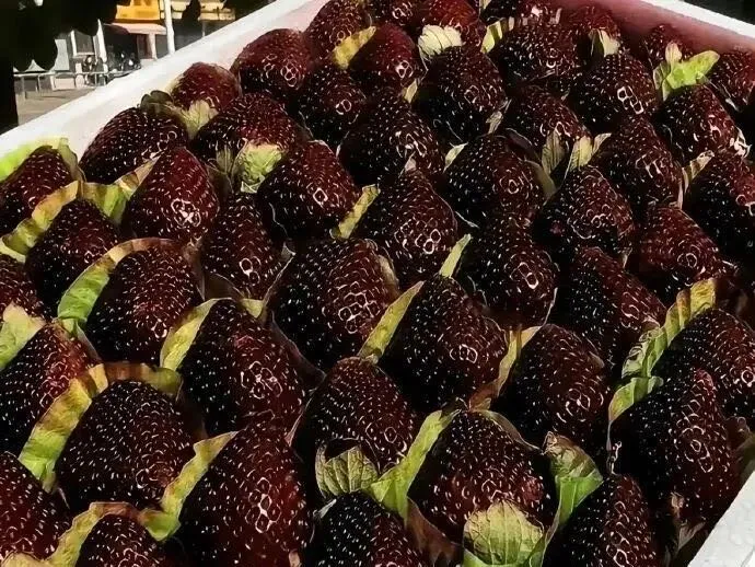 GardenCore – Rare Black Strawberry Seeds