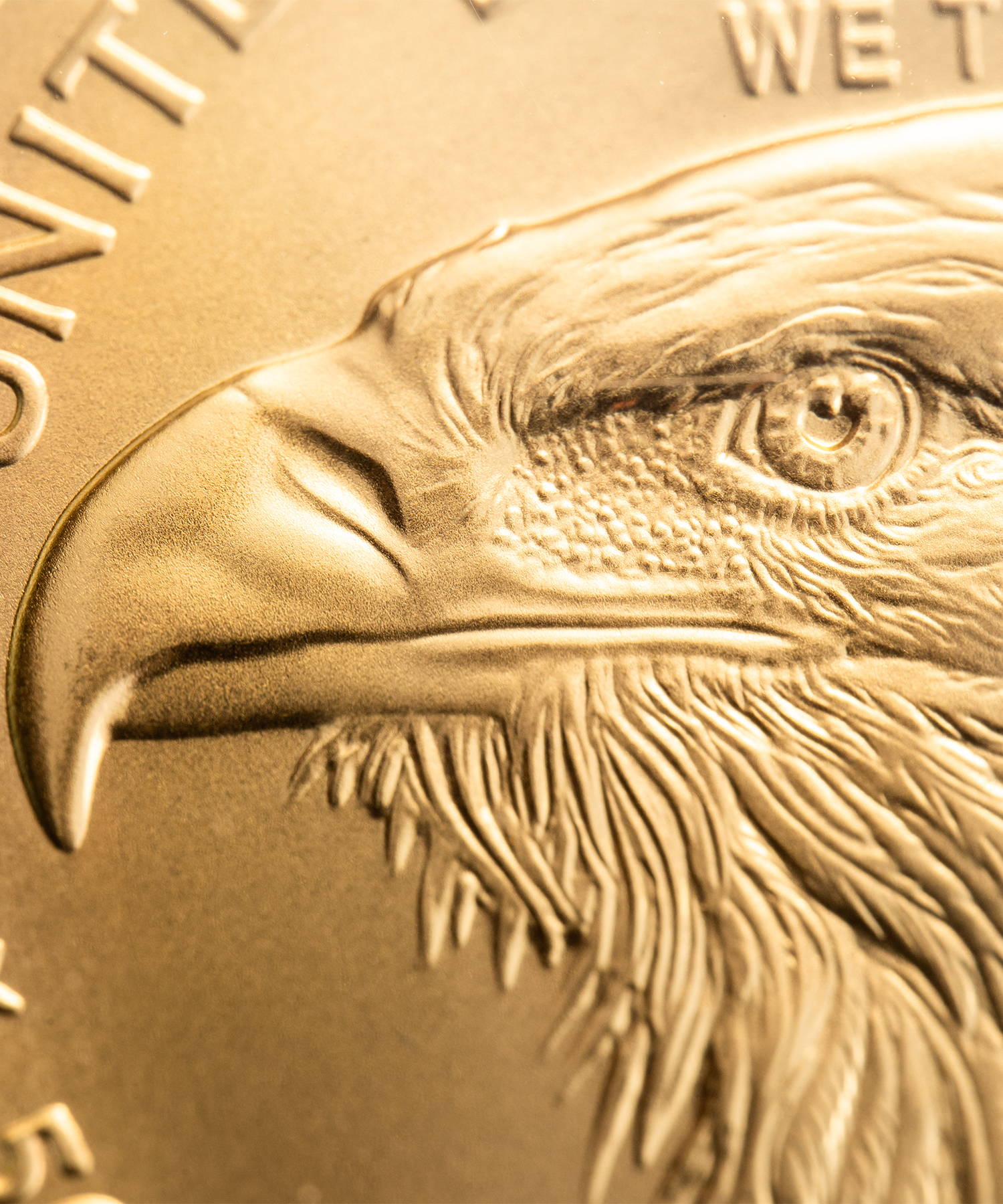 WestPointMint – 2025 American Eagle Gold Collector Coin