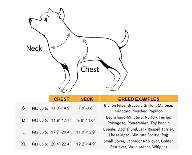 TerrorTail – Spooky Puppy Costume Set