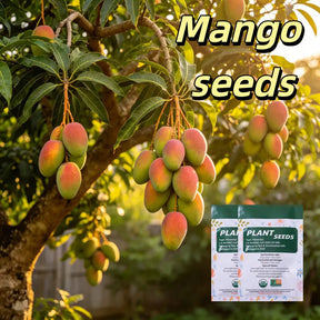 🔥 65K+ SOLD! 🥭 Sweet "Golden Honey" Dwarf Mango Tree Seeds (Grow at Home)