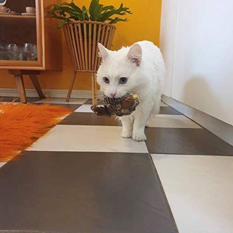 HuntFlap – Interactive Bird Cat Toy