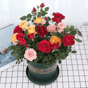 BloomVine – Beautiful Climbing Rose Seeds
