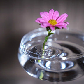 FloraFloat – Creative Floating Floral Arrangement Holder