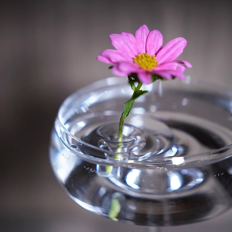 FloraFloat – Creative Floating Floral Arrangement Holder