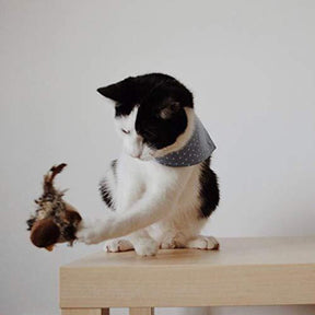 HuntFlap – Interactive Bird Cat Toy