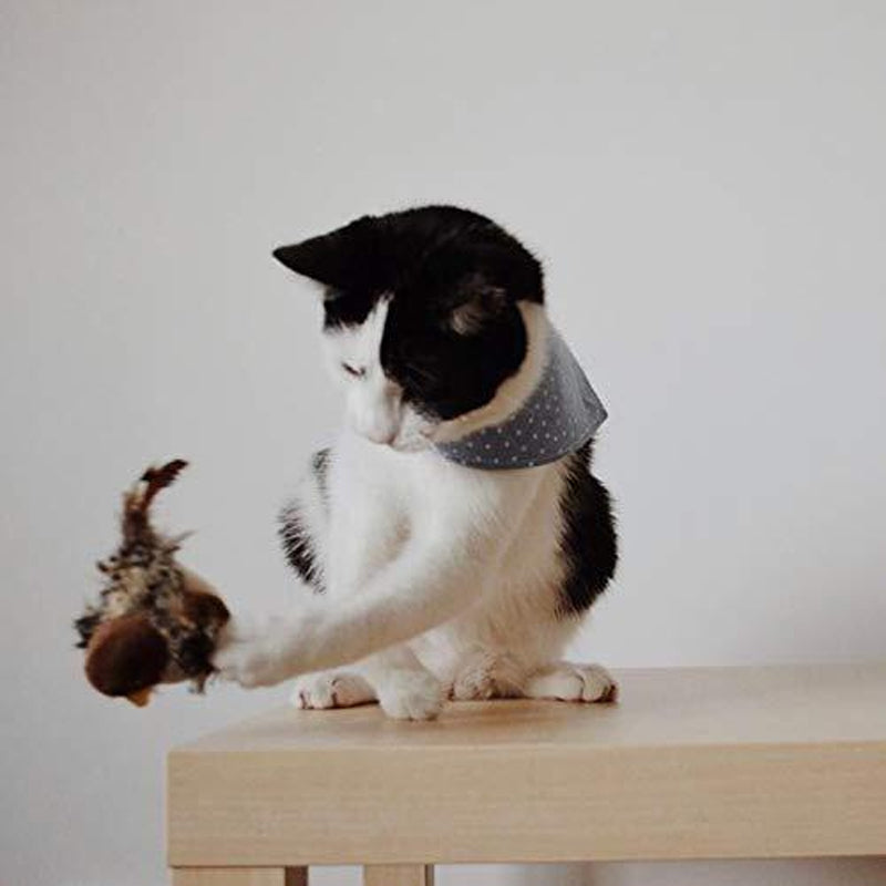 HuntFlap – Interactive Bird Cat Toy
