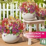 SunPetal – Fade-Proof Garden Blooms