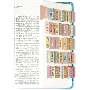 DivineTabs - Ultimate Bible Organizer
