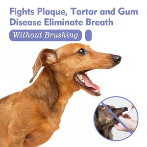 PawFresh – No-Brushing Dental Spray