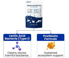 AquaPure – Advanced Water Purifier