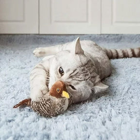 HuntFlap – Interactive Bird Cat Toy