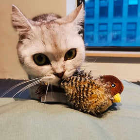 HuntFlap – Interactive Bird Cat Toy