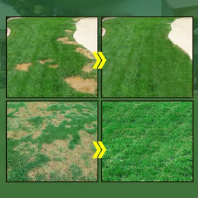 LumeLawn – Professional Spray-On Grass Seed Kit