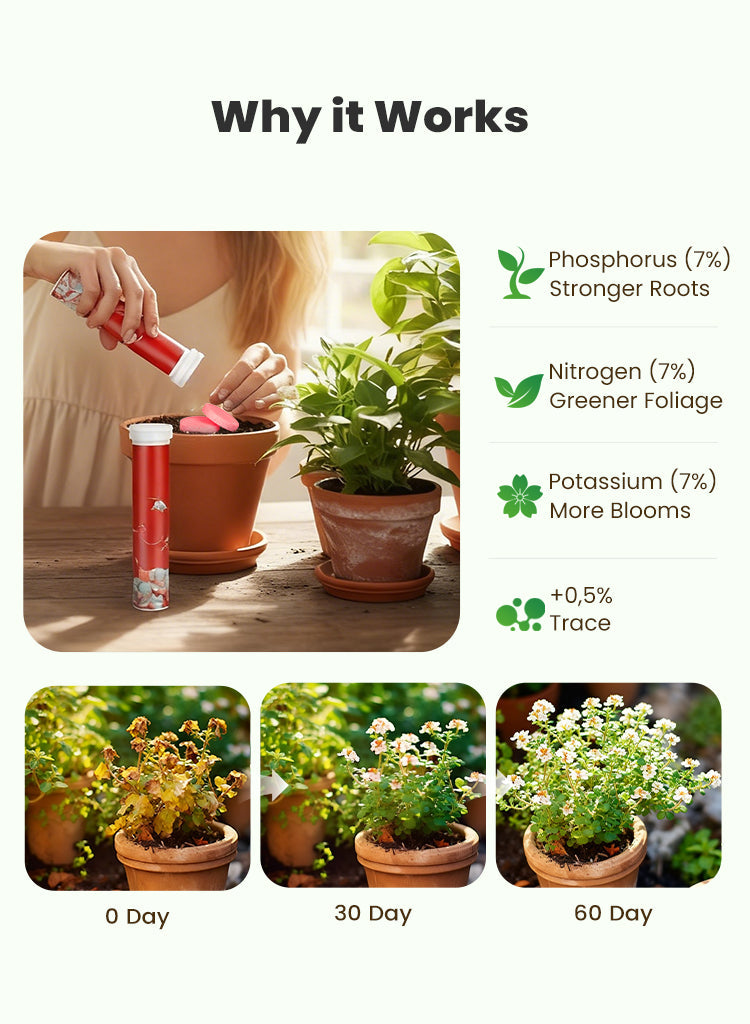 BloomFuel – Plant Growth Formula
