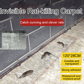 CatchMax – Mouse Trap Mat