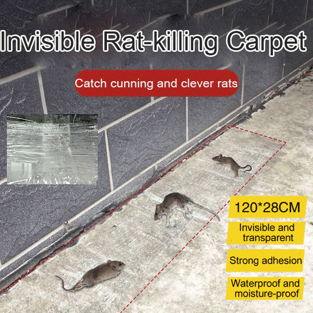 CatchMax – Mouse Trap Mat