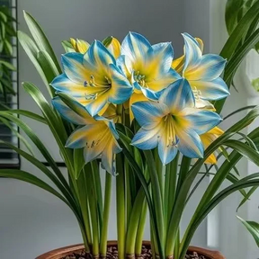 FloraCrown – Luxury Flower Bulbs