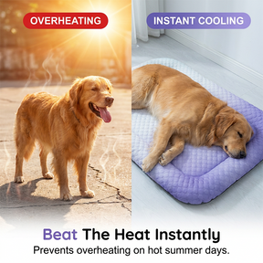PawChill – Breathable Pet Cooling Mat