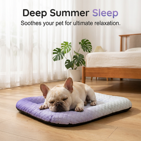 PawChill – Breathable Pet Cooling Mat