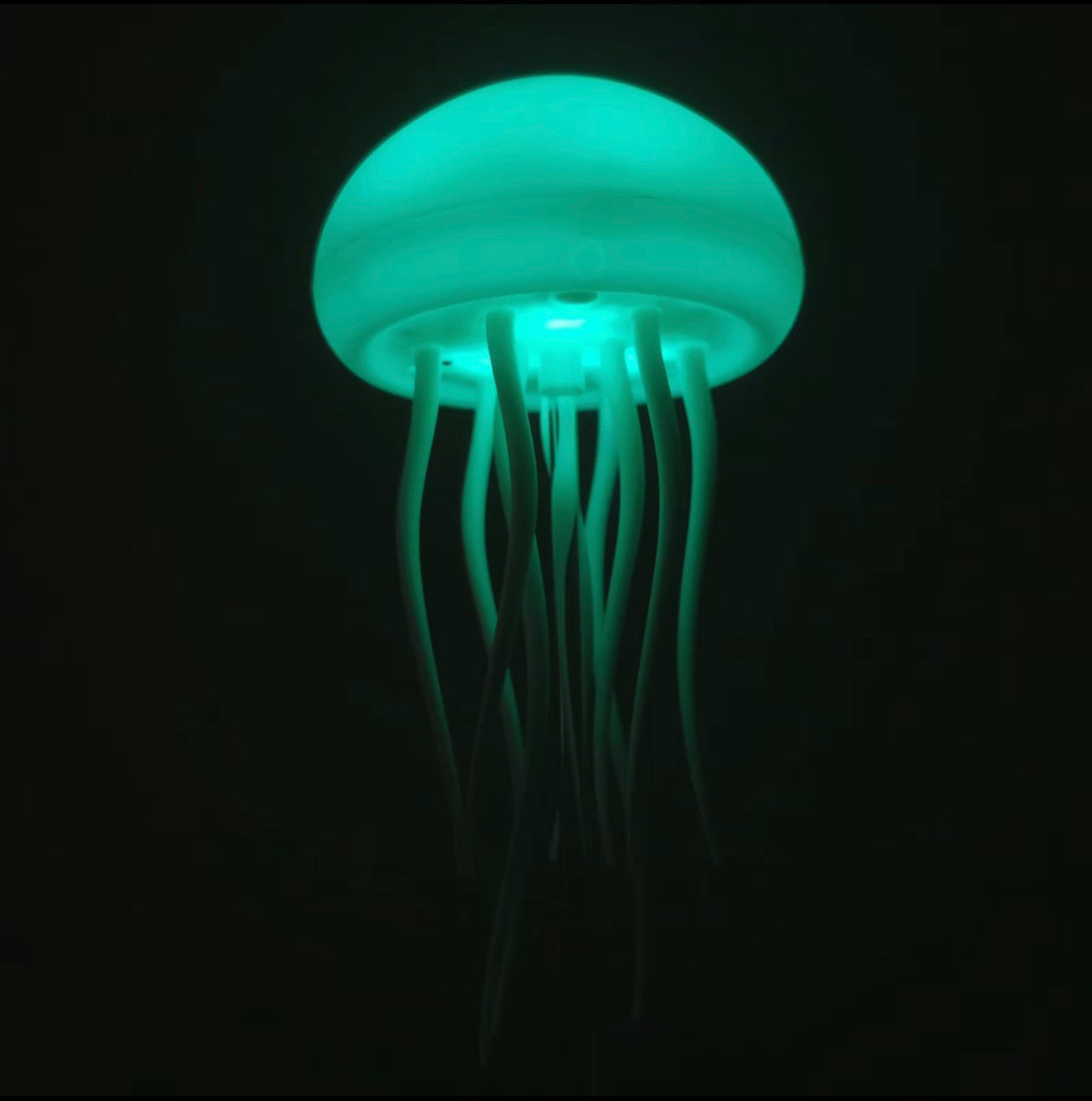 HydraGlow – Interactive Jellyfish Light Display