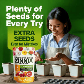 PurePetal – Zinnia Seeds for Vibrant Heirloom Flowers