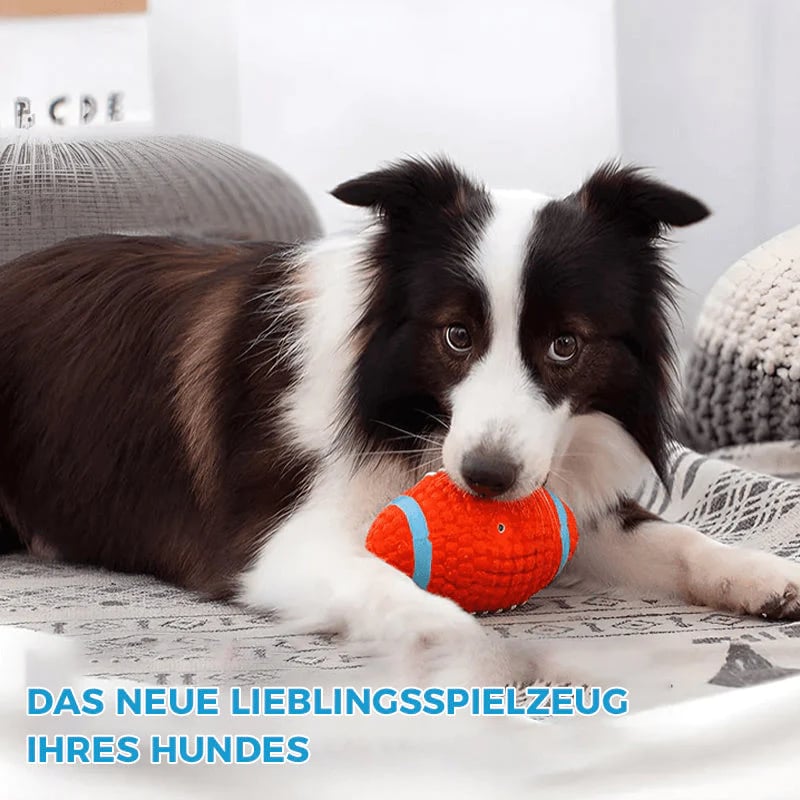 ToughPaw – Durable Chew Ball for Dogs