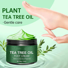 AloeSoothe – Aloe Vera & Tea Tree Foot Moisturizer