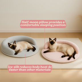 PurrBreeze – Orthopedic Cat Sleep Bed