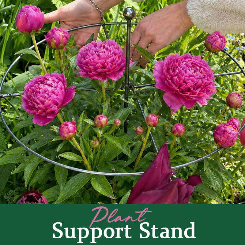GardenCore – Upright Plant Support Ring