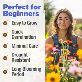 FloraBurst – Mixed Perennial Flower Seeds Collection