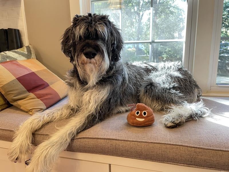 SqueezeBoo – Poop Plush Gag Toy
