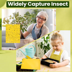 InsectLock – Ultra Sticky Pest Traps