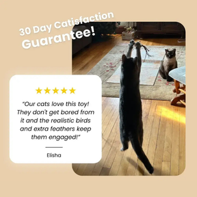 CatVibe – Stimulating Interactive Toy Set