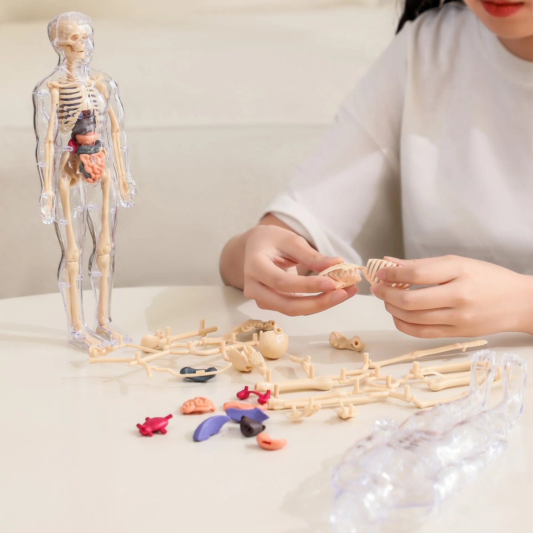 SmartSkeleton – Fun Stem Anatomy Model for Kids