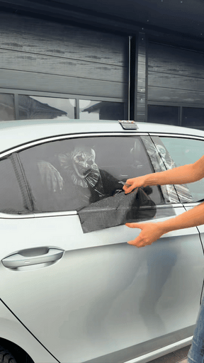 PrankVision – Clown Art Car Window Sticker