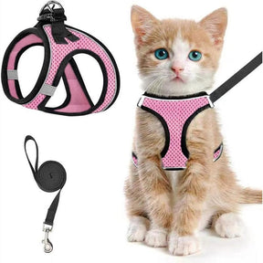 PawFit – Adjustable Pet Harness & Leash Set