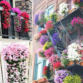 EternaBloom - Maintenance-Free Garden Flowers