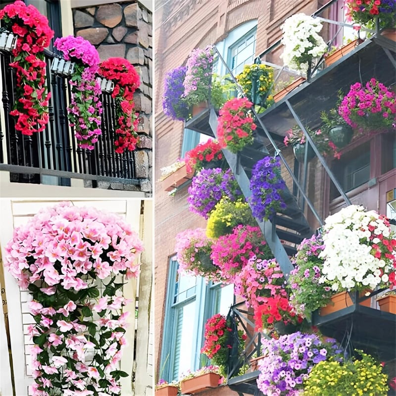 EternaBloom - Maintenance-Free Garden Flowers